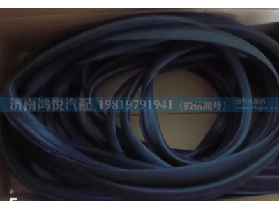 WG1608710008,前风窗玻璃密封条,济南鸿悦汽车配件有限公司