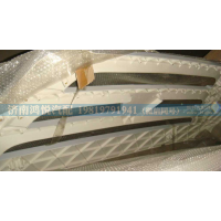 WG1642111011   散热器面罩