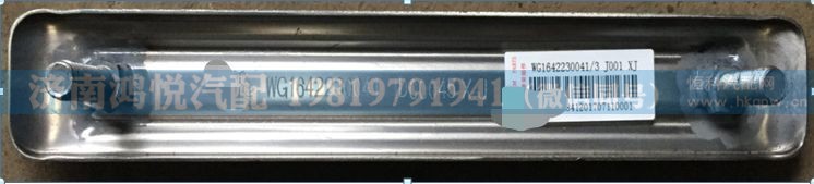 WG1642230041  前翼子板压条总成