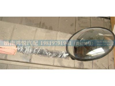 WG1651770053,前下视镜总成,济南鸿悦汽车配件有限公司
