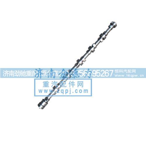 凸轮轴161500050096