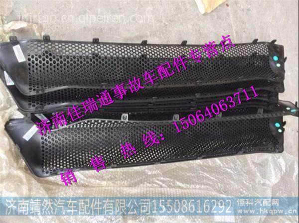 重汽豪沃T7H保险杠装饰网 / WG1664243009