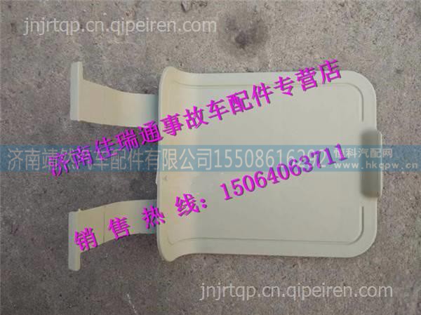 陕汽德龙X3000大灯维修口盖  /DZ14251240015