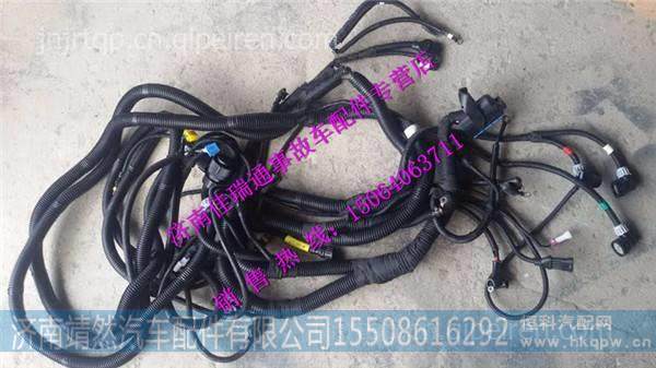 陜汽德龍新M3000底盤(pán)電線束 /DZ96319775608