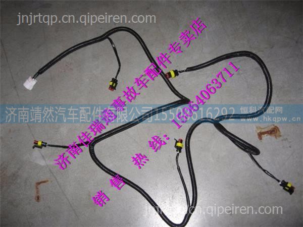 陕汽德龙M3000遮阳罩线束 /PW10G /1770001