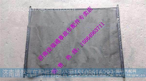 陕汽德龙新M3000防虫网 /DZ96259537005