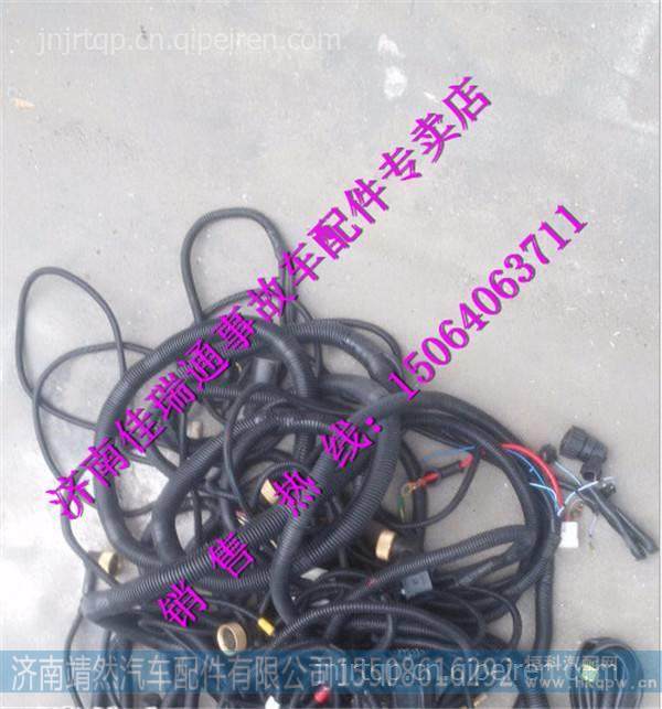 陕汽德龙新m3000右车门线束 /DZ96189772765