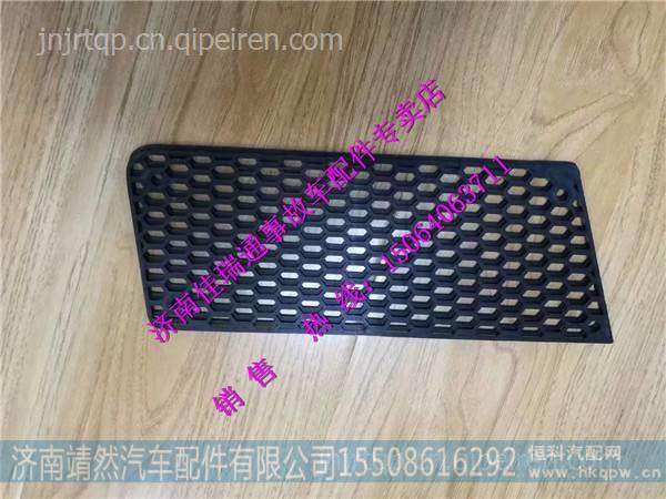 重汽豪沃HOWO轻卡配件保险杠左装饰网 