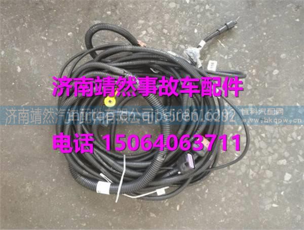 WG1034141102汕德卡C7H天纳克7.0后处理线束 图1