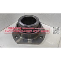 凸缘，突元(原厂）LAJ40 2502065-C4E/B