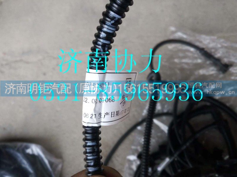 VG1034090011  发动机线束（HW3812014P
