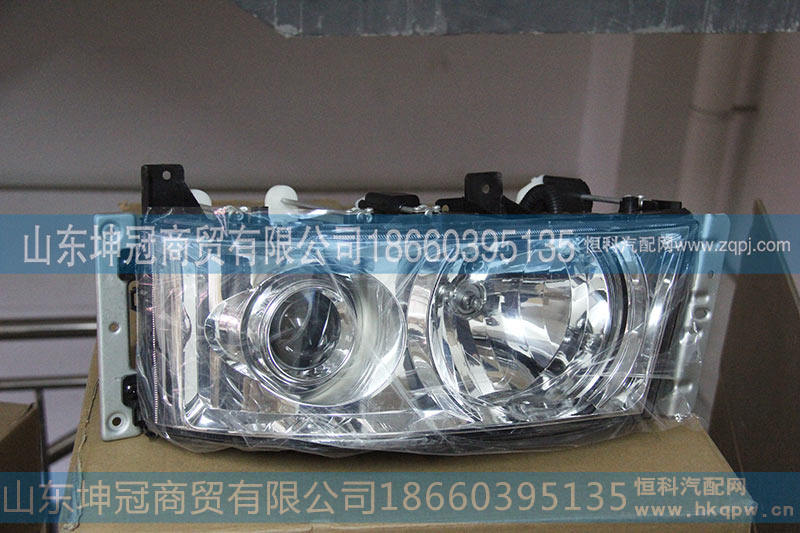 10004CH01组合前照灯（左）WG9318728003