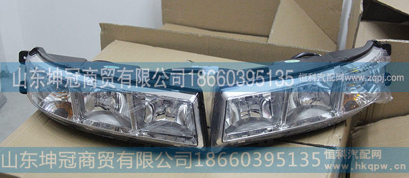 10029CF组合前辅助灯（左）WG9318728005