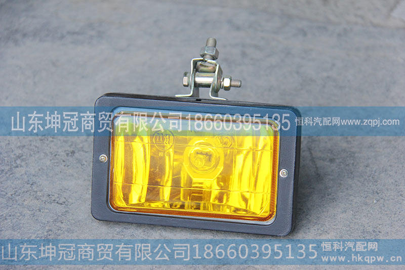雾灯总成WG9200720040