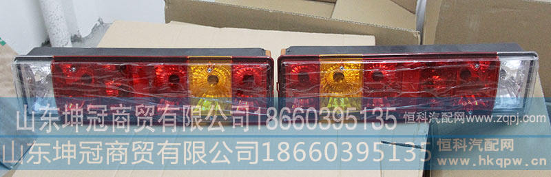 组合后灯WG9200810010