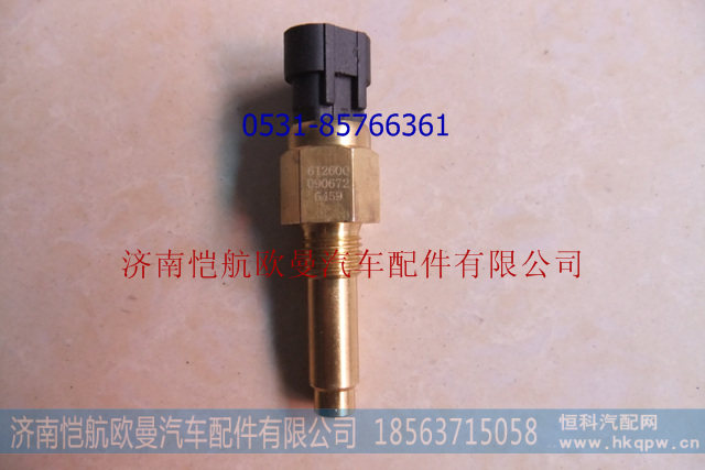612600090672水温传感器WP10