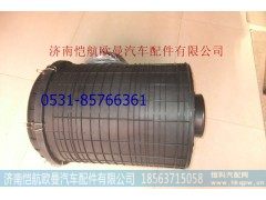 H1119202003A0,空滤器总成2750后口,济南恺航欧曼汽车配件有限公司