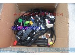 H4374010009A0,车身主线束GTL,济南恺航欧曼汽车配件有限公司