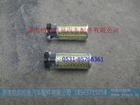 H434000000077-2,,濟(jì)南愷航歐曼汽車配件有限公司