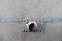 A10F9-3800200,,济南恺航欧曼汽车配件有限公司