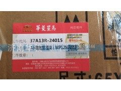 37A13R-24015AH,驾驶室线束（WP12NG搅拌）,济南华骏汽车贸易有限公司