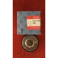 618DA1306000A 节温器