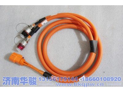 21AA17N-09040,PTC动力电缆线,济南华骏汽车贸易有限公司