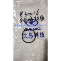 R3001016 O型密封圈  G2、H9甲醇   新能源   華菱重卡  星凱馬  漢馬 華駿