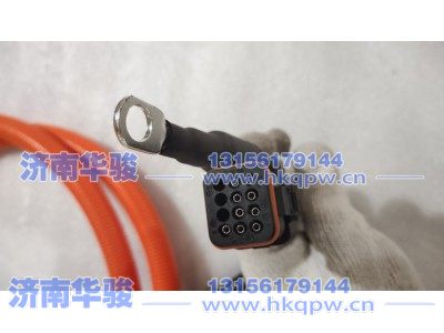 2105VQH00000017,充电座（含线）-快充充电电缆线1,济南华骏汽车贸易有限公司