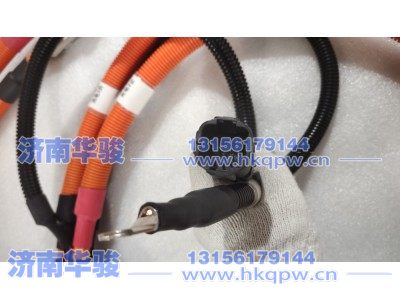 2105VQH00000018,充电座（含线）-快充充电电缆线2,济南华骏汽车贸易有限公司