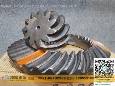 QT398S8-2402020,后桥盆角齿,山东凯路汽车零部件制造有限公司
