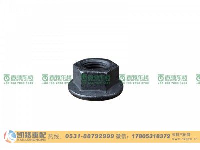 Q32314T13F2,螺母,山东凯路汽车零部件制造有限公司