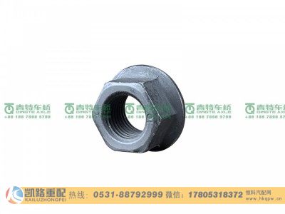 Q32314T13F2,螺母,山东凯路汽车零部件制造有限公司
