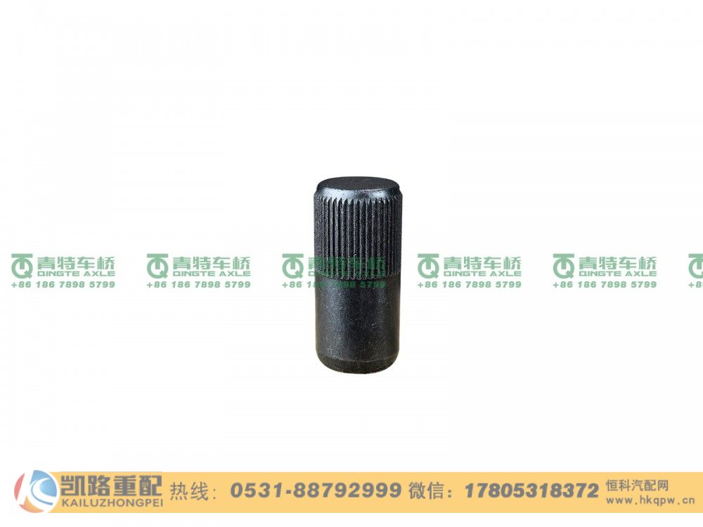 山东凯路青特车桥QT300SN双桥Q5241226_A.A_滚花圆柱销
