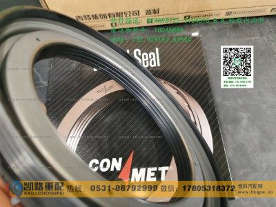 QT469S122-3104310,油封,山东凯路汽车零部件制造有限公司