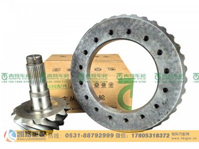 QT485DN2-2402020,后桥盆角齿,山东凯路汽车零部件制造有限公司