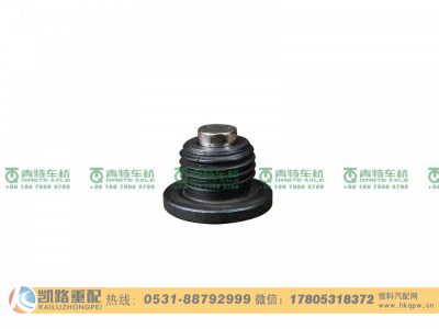 QT270D172-3104017,加油螺塞,山东凯路汽车零部件制造有限公司