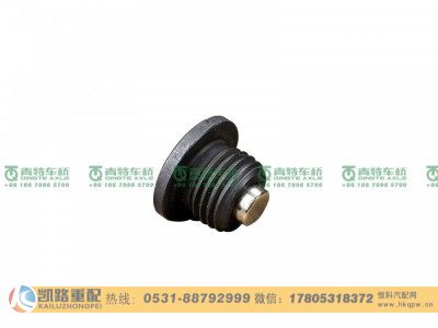 QT270D172-3104017,加油螺塞,山东凯路汽车零部件制造有限公司