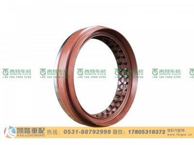 QT300SH2-2502055,油封,山东凯路汽车零部件制造有限公司