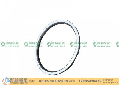 QT469S1-2502046,垫圈,山东凯路汽车零部件制造有限公司