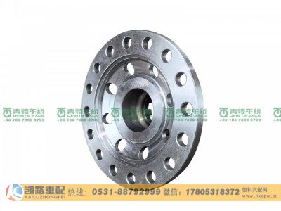 QT205D0-2403011,差速器壳,山东凯路汽车零部件制造有限公司