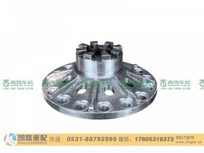 QT205D0-2403011,差速器壳,山东凯路汽车零部件制造有限公司