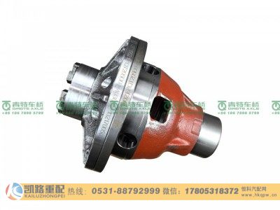QT205D0-2403011,差速器壳,山东凯路汽车零部件制造有限公司