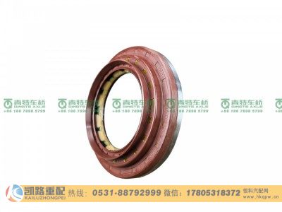 QT440SN1-2402250,油封,山东凯路汽车零部件制造有限公司