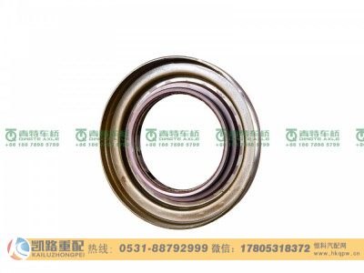 QT440SN1-2402250,油封,山东凯路汽车零部件制造有限公司