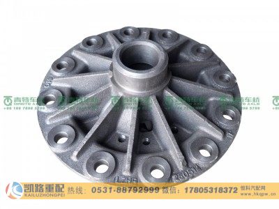 QT385D432-2403000,差速器总成,山东凯路汽车零部件制造有限公司