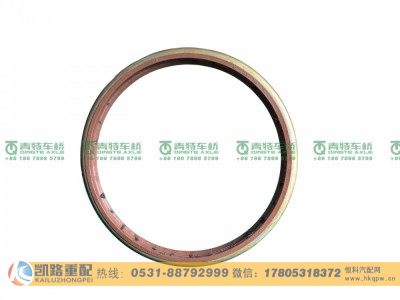 W3104047D01C-S1,轮毂油封,山东凯路汽车零部件制造有限公司