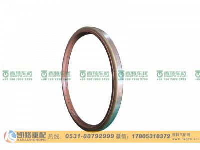 W3104047D01C-S1,轮毂油封,山东凯路汽车零部件制造有限公司