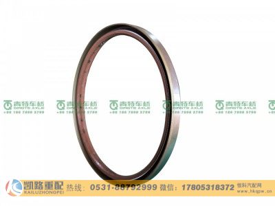 W3104047D01C-S1,轮毂油封,山东凯路汽车零部件制造有限公司
