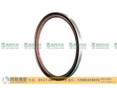 W3104047D01C-S1,轮毂油封,山东凯路汽车零部件制造有限公司